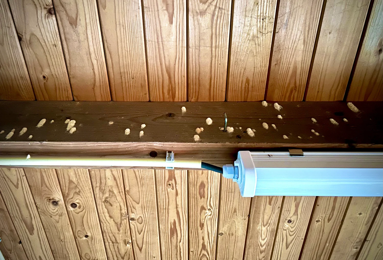 Houtworm bestrijden kosten m2 berekenen West-Friesland