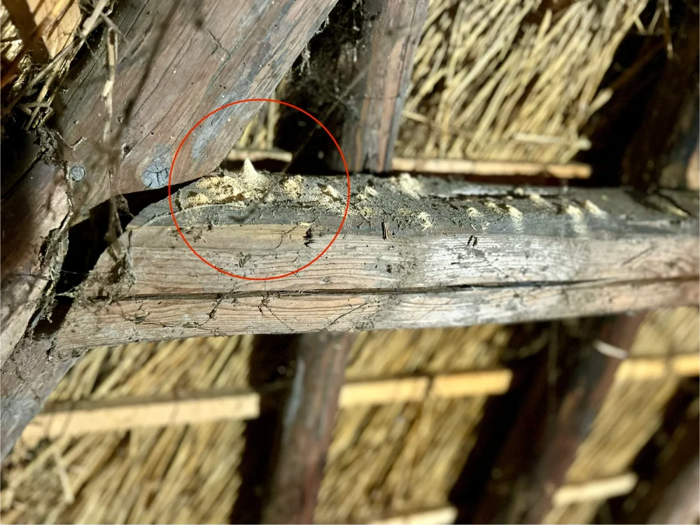 Stolpboerderij bestrijding